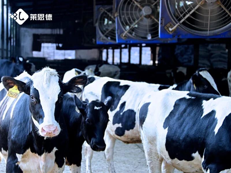 2026年6月雞蛋藥物殘留檢測(cè)儀熱門品牌實(shí)測(cè)推薦